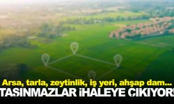 Manisa’da belediye çok sayıda taşınmazı ihaleye çıkarıyor! Arsa, tarla, zeytinlik, iş yeri, dam… Neler var neler!