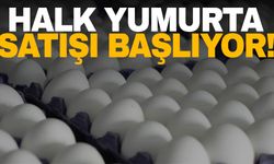 Manisa’da belediye halk yumurta satışı yapacak