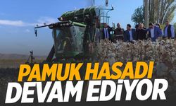 Manisa’da beyaz altın hasadı devam ediyor! Verimin 600-700 kiloya kadar ulaşması bekleniyor!