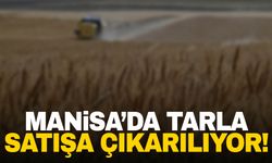 Manisa’da Karaali’de tarla satışa çıkarılıyor!