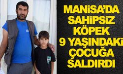 Manisa’da sahipsiz köpek, çocuğa saldırdı!