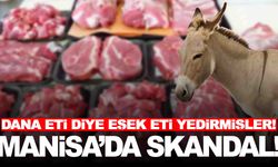 Manisa’da skandal… Dana etinde ve köftede tek tırnaklı eti!