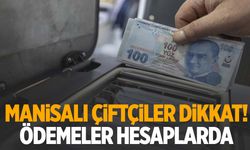 Manisalı çiftçilere 20 milyon 434 bin TL destek! Ödemeler hesaplarda!