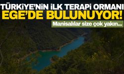 Manisa’ya çok yakın… Türkiye’nin ilk terapi ormanı!