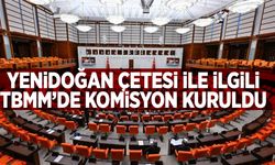 Meclis ‘Yenidoğan çetesi’ için harekete geçti! Bebek ölümleri ile ilgili komisyon kuruldu