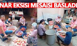 Manisa’da nar ekşisi mesaisi başladı... Fazlası satılıyor!