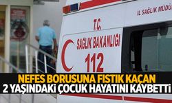 Nefes borusuna kaçan fıstık 2 yaşındaki çocuğun sonu oldu