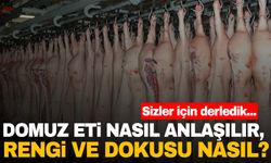 Son günlerde gündem olan domuz eti nasıl anlaşılır?