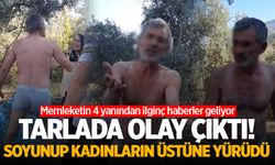 Tarlada Olay Çıktı! Soyunup Kadınların Üstüne Yürüdü