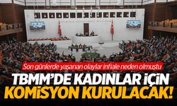 TBMM'de Kadın Şiddetin Araştırılması İçin Komisyon Kurulacak!