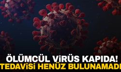 Tedavisi yok! Ölümcül virüs hızla yayılıyor