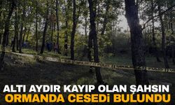 Tekirdağ’da 6 aydır kayıp olarak aranıyordu… Ormanda cesedi bulundu