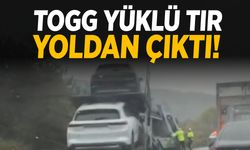 TOGG yüklü tır kontrolden çıktı