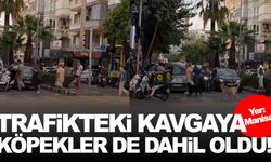 Manisa’da trafikteki kavgaya köpekler de dahil oldu!