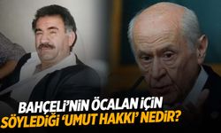 Umut hakkı nedir, nasıl işler? Kimler umut hakkından yararlanabilir?