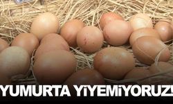 Üretiyor yemiyoruz… Kişi başına yıllık tüketim sadece 150 adet!