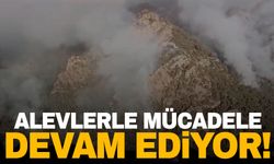 Yangında dördüncü gün: Alevlerle mücadele sürüyor