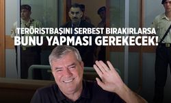 Yılmaz Özdil açıkladı! Teröristbaşı Abdullah Öcalan serbest bırakılırsa önce bunu yapması gerekecek!