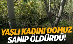 Zonguldak’ta feci olay… Yaşlı kadını domuz sanıp öldürdü!