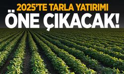 2025 tarla yılı olacak! Uzman isimden çarpıcı tahmin: Yüzde 500…