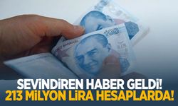 213 milyon lira hesaplara yattı! Kontrol edin!