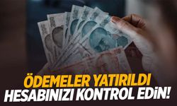 4,9 milyar lira hesaplara yatırıldı! Hemen kontrol edin