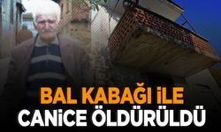 93 yaşındaki yaşlı adam bal kabağıyla öldürüldü! ‘Emekli maaşı’ detayı…