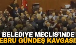 Belediye Meclisi'nde Ebru Gündeş kavgası!