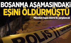 Boşanmak isteyen eşini öldüren şahsa müebbet hapis istemi