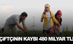 Çiftçi tamı tamına 480 milyar lira kaybetti!