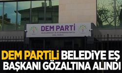 DEM Partili Belediye Eş Başkanı gözaltına alındı