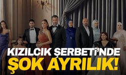 Dizinin yıldızı Kızılcık Şerbeti’nden ayrılıyor!