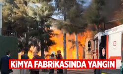 İzmir’de fabrikada yangın çıktı! Çok sayıda ekip sevk edildi!