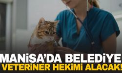 Manisa’da belediye Veteriner Hekimi alımı yapacak