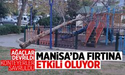 Manisa'da fırtına etkili oluyor: Ağaçlar devrildi, konteynerler savruldu