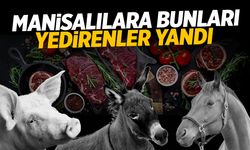 Manisa'da gıda sahteciliğine geçit yok! Dokunan yanıyor... 22 bin denetim yapıldı