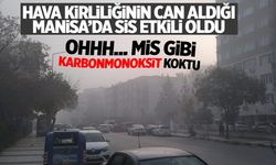 Manisa'da Sis Etkili Oldu