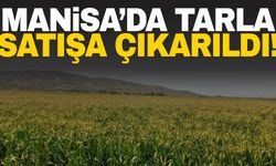 Manisa’da tarla alacaklar dikkat! İlçede tarla satışa çıkarıldı