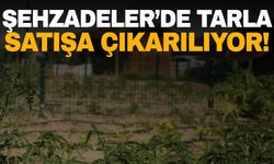 Manisa’da tarla almak isteyenler dikkat! Şehzadeler’de tarla satılıyor