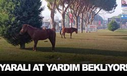 Manisa’da tehlikeli görüntü… Gece yaşanan kaza akıllara geldi!