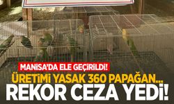 Manisa’da üretimi yasak papağan satışı yapan şahsa rekor ceza!