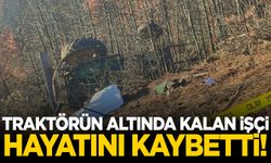 Orman işçisi, traktörün altında kalarak can verdi