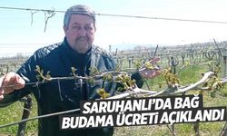 Saruhanlı’da bağ budama ücretleri belirlendi!