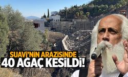 Suavi’nin Bodrum’daki arazisinde 40 ağaç kesildi! Bakanlık inceleme başlattı