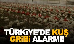 Türkiye’de kuş gribi alarmı: 5 mahalle karantinaya alındı