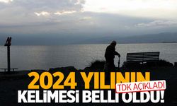 2024 yılının kelimesi belli oldu!