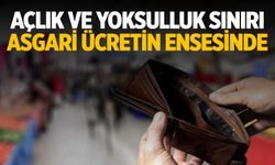 Açlık ve yoksulluk sınırı asgari ücretin ensesinde