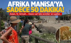 Afrika, Manisa’ya sadece 50 dakika! Aslan, fil, timsah… Hepsi var! | İzmir Doğal Yaşam Parkı