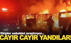 5 otobüs cayır cayır yandı… Akıllara şüphe düşüren olay!