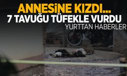 Annesi horozları komşuya verdi diye tavukları tüfekle vurdu